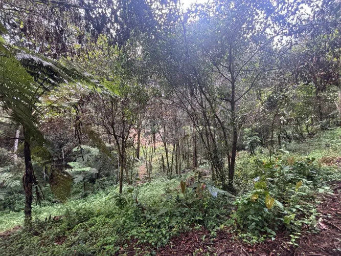 Lote en venta en Guayabito, Rionegro, 6871 m² · foto 22 de 24