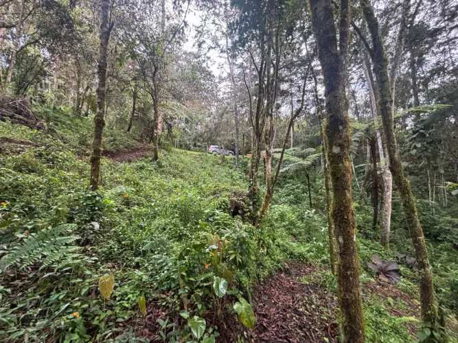 Lote en venta en Guayabito, Rionegro, 6871 m² · foto 24 de 24