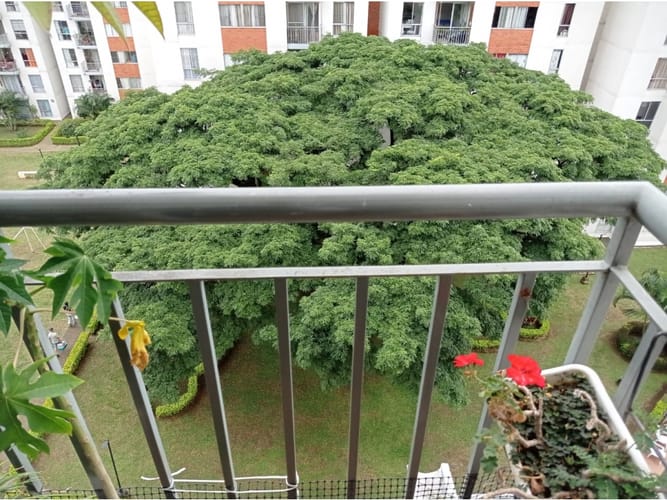 Apartamento de 3 alcobas en venta en Cr. Los Naranjos, Jamundí, 62 m² · foto 15 de 24