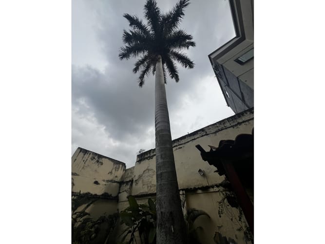 Casa de 5 alcobas en venta en San Fernando Nuevo, Cali, 290 m² · foto 12 de 24