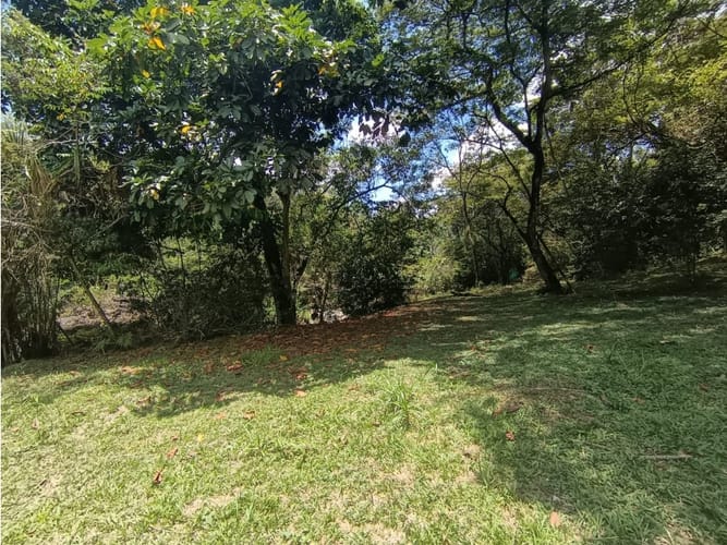 Lote en venta en La Buitrera, Cali, 50 m² · foto 4 de 15
