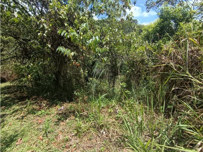 Lote en venta en La Buitrera, Cali, 50 m² · foto 7 de 15