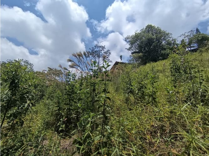 Lote en venta en La Buitrera, Cali, 50 m² · foto 10 de 15