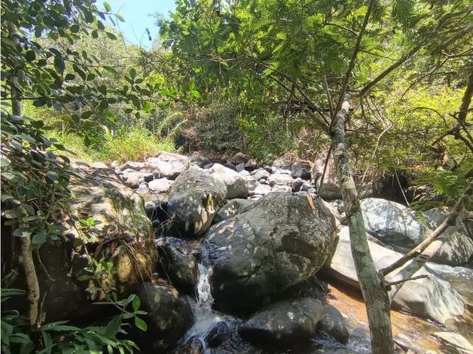 Lote en venta en La Buitrera, Cali, 50 m² · foto 12 de 15