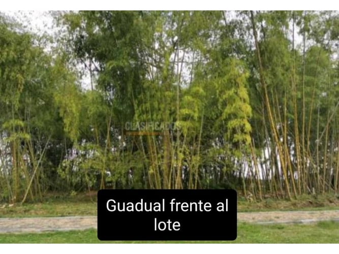 Lote en venta en Paso De La Bolsa, Jamundí, 439 m² · foto 4 de 24
