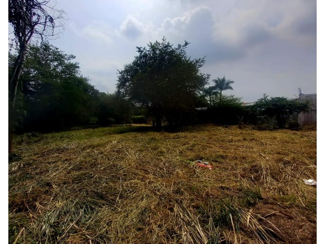 Lote en venta en Pance, Cali, 3028 m² · foto 2 de 6
