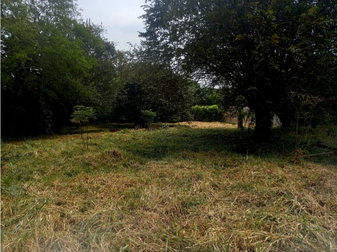 Lote en venta en Pance, Cali, 3028 m² · foto 5 de 6