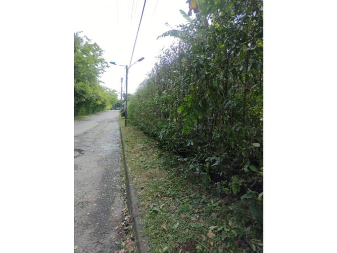 Lote en venta en Pance, Cali, 3028 m² · foto 6 de 6