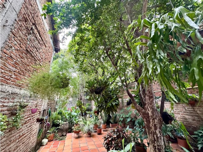 Casa de 4 alcobas en venta en San Antonio, Cali, 142 m² · foto 13 de 13