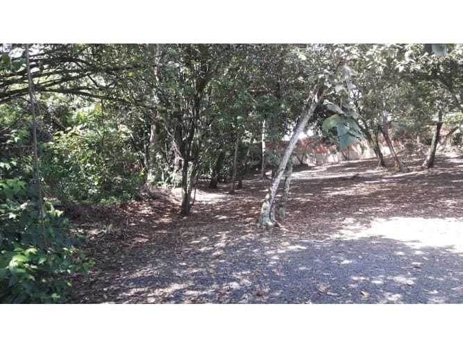 Lote en venta en Pance, Cali, 3145 m² · foto 7 de 7
