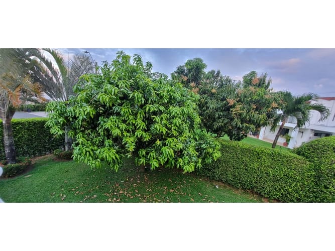 Casa de 4 alcobas en venta en La Morada, Jamundí, 310 m² · foto 4 de 24