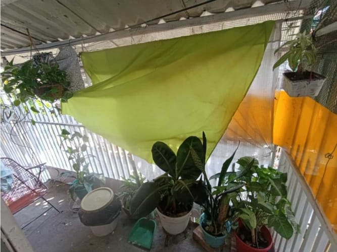 Casa de 4 alcobas en venta en Pizamos, Cali, 180 m² · foto 23 de 24