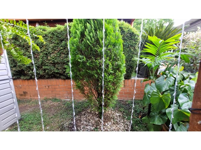 Casa de 5 alcobas en venta en Pance, Cali, 230 m² · foto 5 de 24