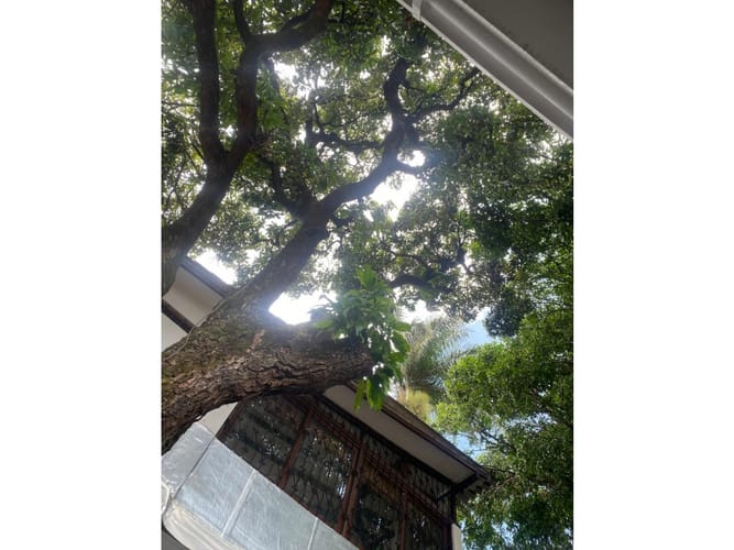 Casa de 16 alcobas en venta en San Antonio, Cali, 700 m² · foto 24 de 24