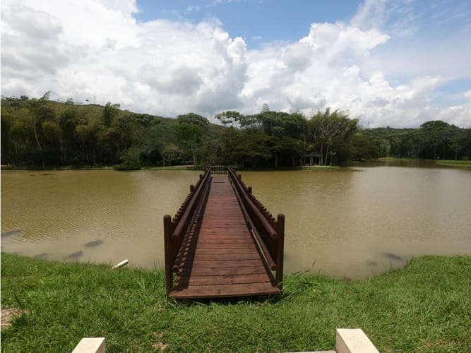 Lote en venta en Potrerito, Jamundí, 1695 m² · foto 11 de 24