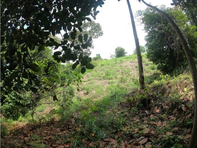 Lote en venta en Potrerito, Jamundí, 1695 m² · foto 19 de 24