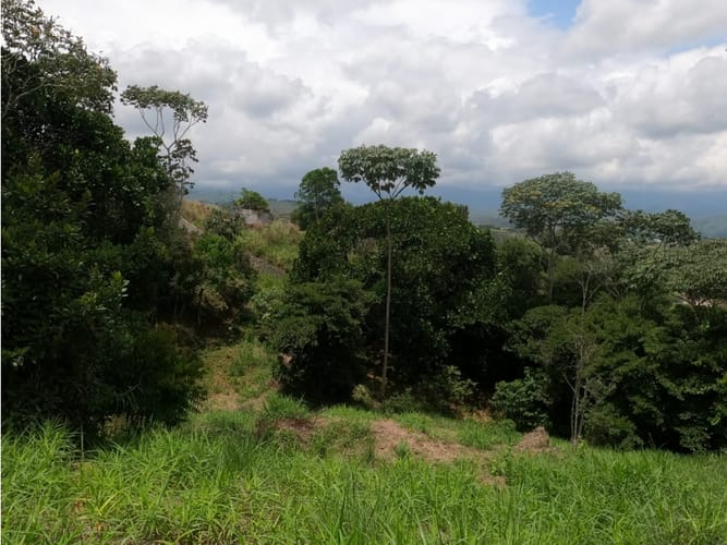Lote en venta en Potrerito, Jamundí, 1695 m² · foto 20 de 24