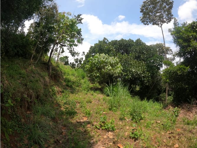 Lote en venta en Potrerito, Jamundí, 1695 m² · foto 22 de 24