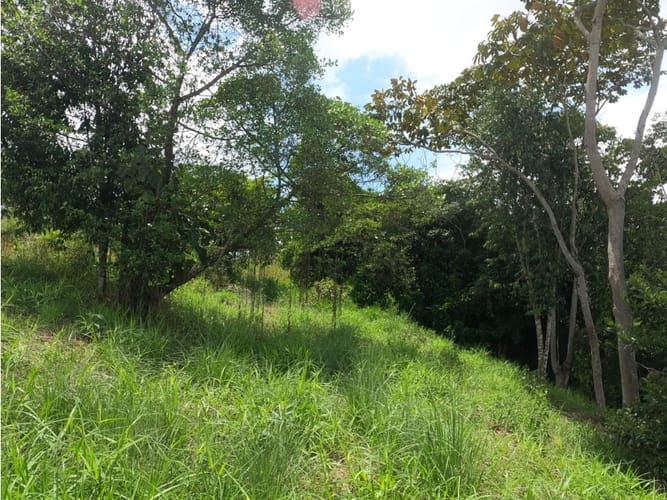 Lote en venta en Potrerito, Jamundí, 1695 m² · foto 23 de 24