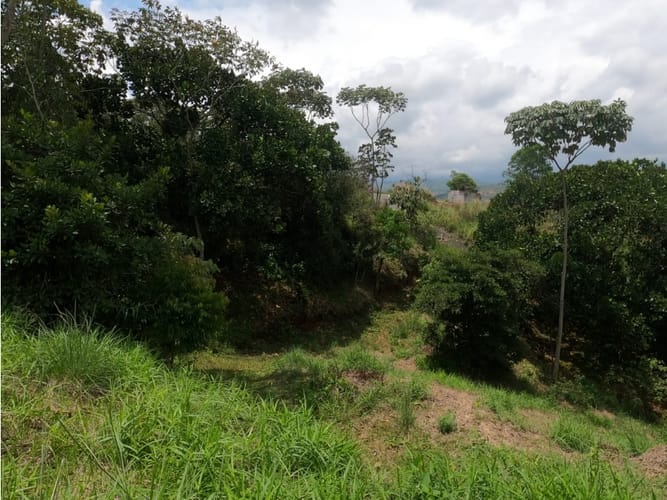 Lote en venta en Potrerito, Jamundí, 1695 m² · foto 24 de 24