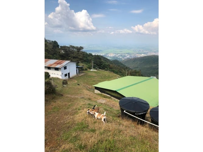 Lote en venta en Medio Dapa, Yumbo, 8309 m² · foto 3 de 21