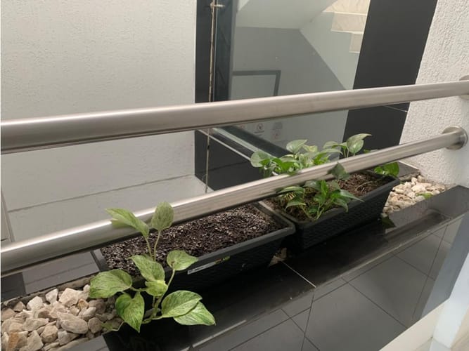 Edificio en venta en San Pedro, Cali, 396 m² · foto 11 de 24