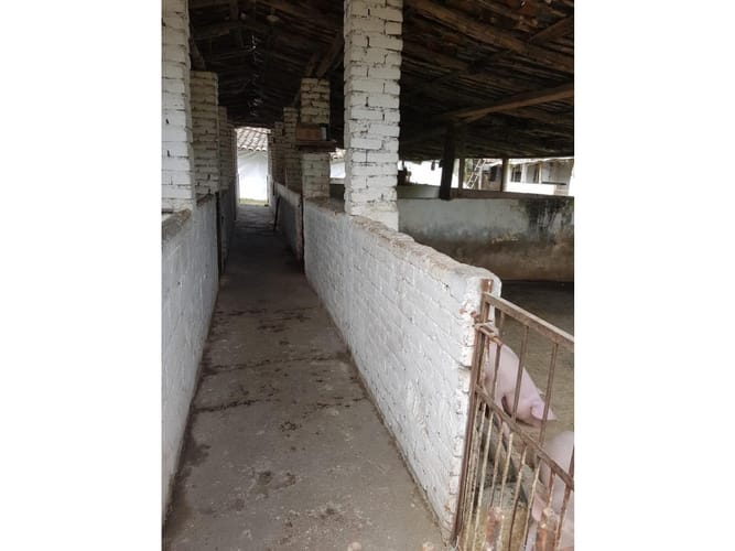 Finca en venta en La Candelaria, Candelaria, 700 m² · foto 17 de 24