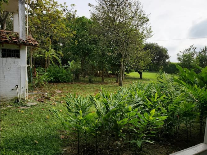 Finca en venta en La Candelaria, Candelaria, 700 m² · foto 23 de 24