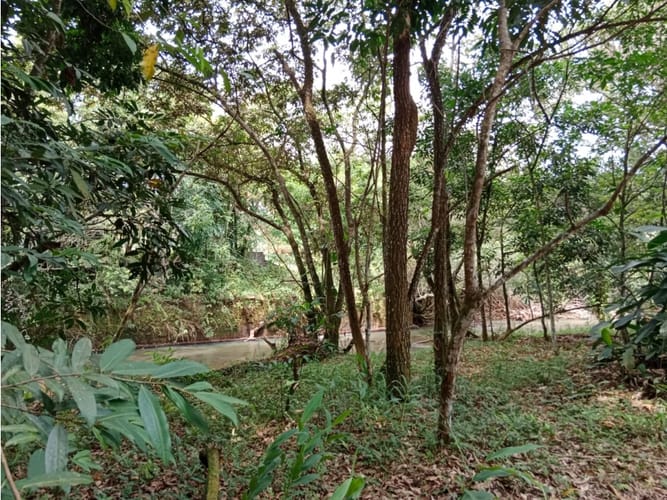 Lote en venta en Potrerito, Jamundí, 1236 m² · foto 2 de 7