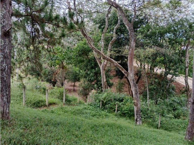 Lote en venta en Potrerito, Jamundí, 1180 m² · foto 4 de 7