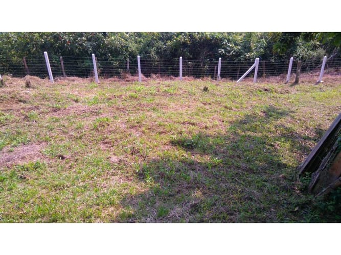 Lote en venta en Alfonso Lopez, Palmira, 36 m² · foto 3 de 10