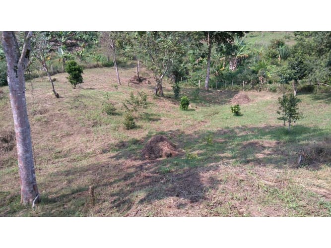 Lote en venta en Alfonso Lopez, Palmira, 36 m² · foto 4 de 10