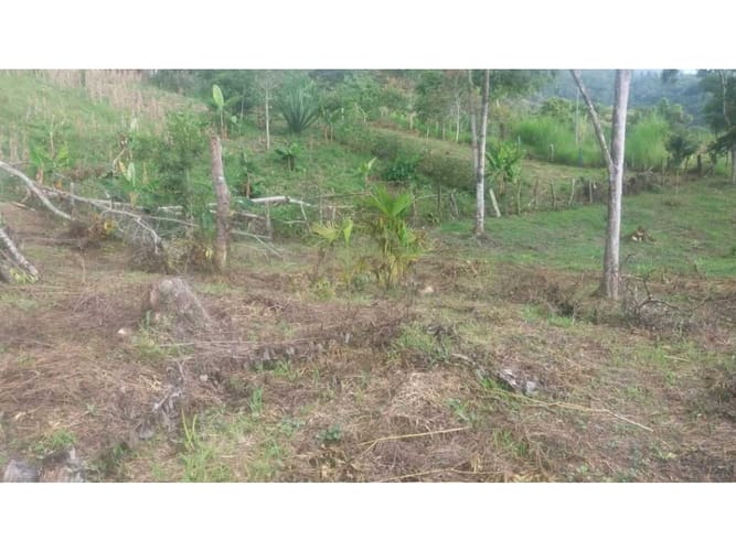 Lote en venta en Alfonso Lopez, Palmira, 36 m² · foto 6 de 10