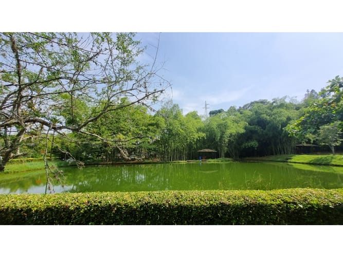 Lote en venta en Potrerito, Jamundí · foto 6 de 24