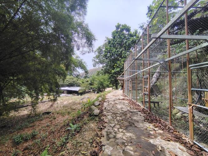 Lote en arriendo en Mesa De Los Santos, Piedecuesta, 150 m² · foto 3 de 22