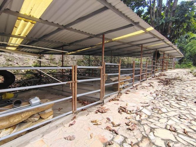 Lote en arriendo en Mesa De Los Santos, Piedecuesta, 150 m² · foto 4 de 22
