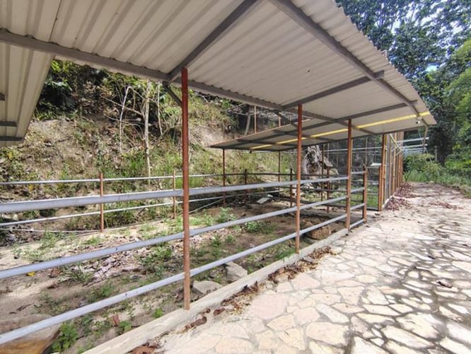 Lote en arriendo en Mesa De Los Santos, Piedecuesta, 150 m² · foto 5 de 22