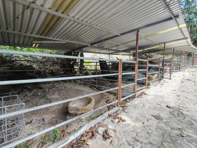 Lote en arriendo en Mesa De Los Santos, Piedecuesta, 150 m² · foto 7 de 22