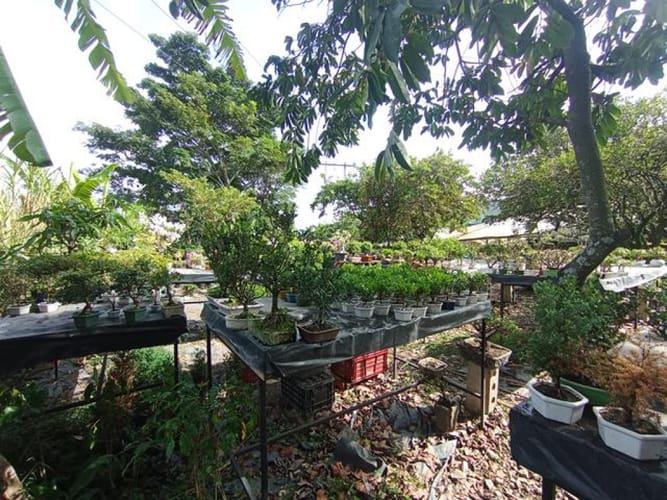 Lote en venta en El Molino, Piedecuesta, 1250 m² · foto 2 de 14
