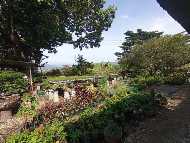 Lote en venta en El Molino, Piedecuesta, 1250 m² · foto 3 de 14