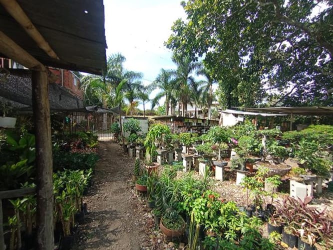 Lote en venta en El Molino, Piedecuesta, 1250 m² · foto 9 de 14