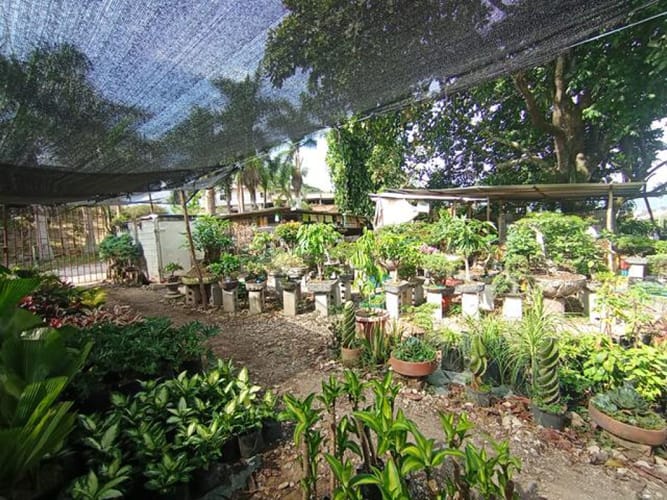 Lote en venta en El Molino, Piedecuesta, 1250 m² · foto 10 de 14