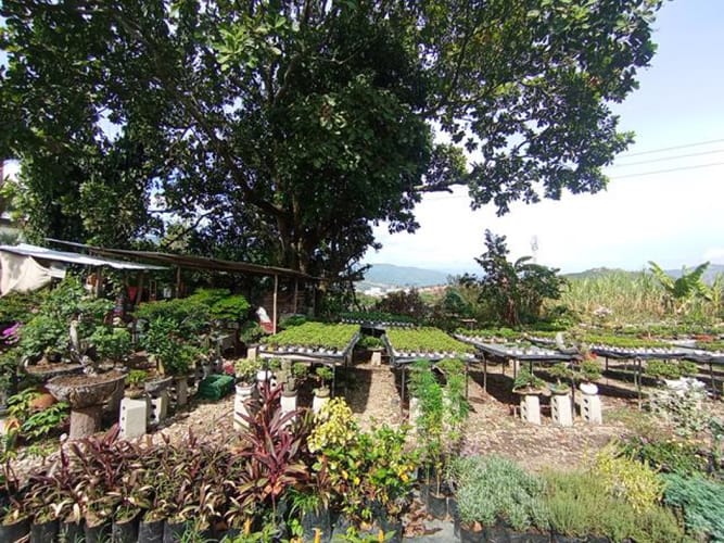 Lote en venta en El Molino, Piedecuesta, 1250 m² · foto 12 de 14