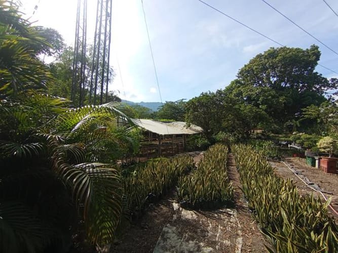 Lote en venta en El Molino, Piedecuesta, 1250 m² · foto 14 de 14
