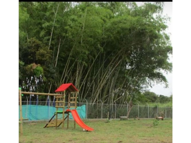 Lote en venta en Rozo, Palmira, 153 m² · foto 3 de 24