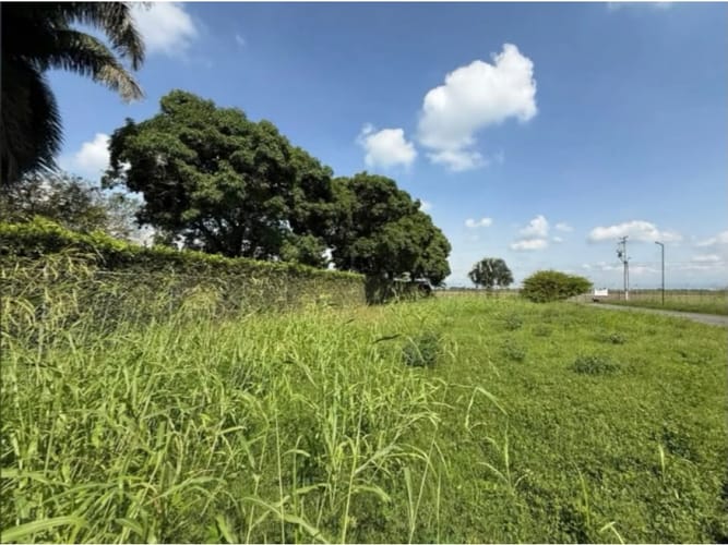 Lote en venta en Rozo, Palmira, 153 m² · foto 10 de 24