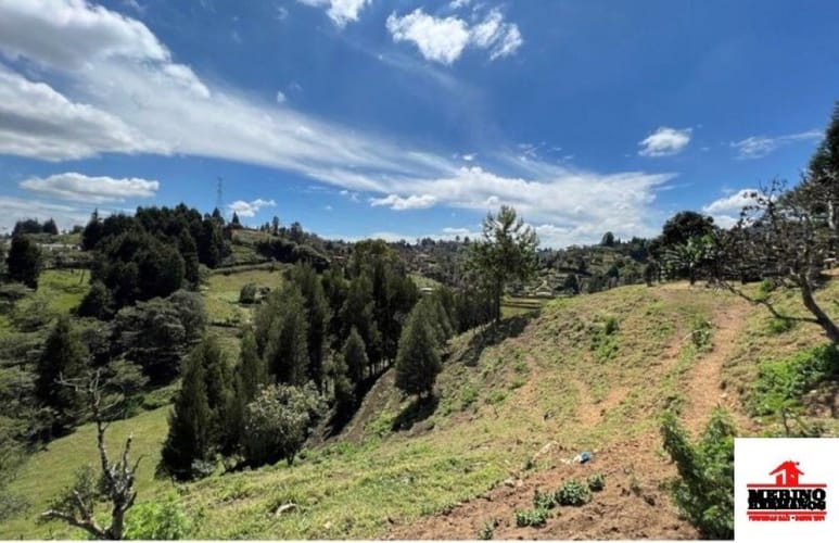Casa de 4 alcobas en arriendo en Guarne, 300 m² · foto 19 de 24