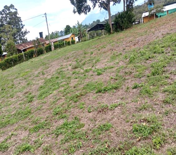 Lote en venta en Mesa De Los Santos, Piedecuesta, 31 m² · foto 3 de 9