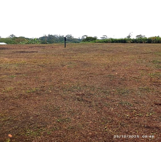 Lote en venta en Mesa De Los Santos, Piedecuesta, 31 m² · foto 6 de 9