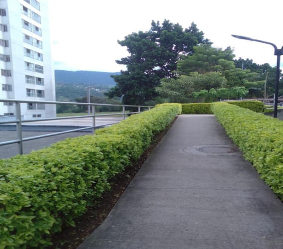 Apartamento de 3 alcobas en venta en Barroblanco, Piedecuesta, 56 m² · foto 22 de 24